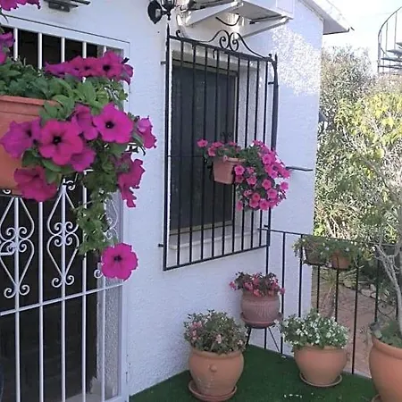 Bed & Breakfast El Rincon De La Quinta 4*